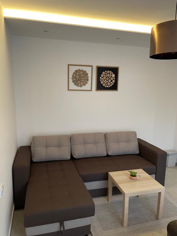 Villa I Spa Stevic Veliko Gradište Εξωτερικό φωτογραφία