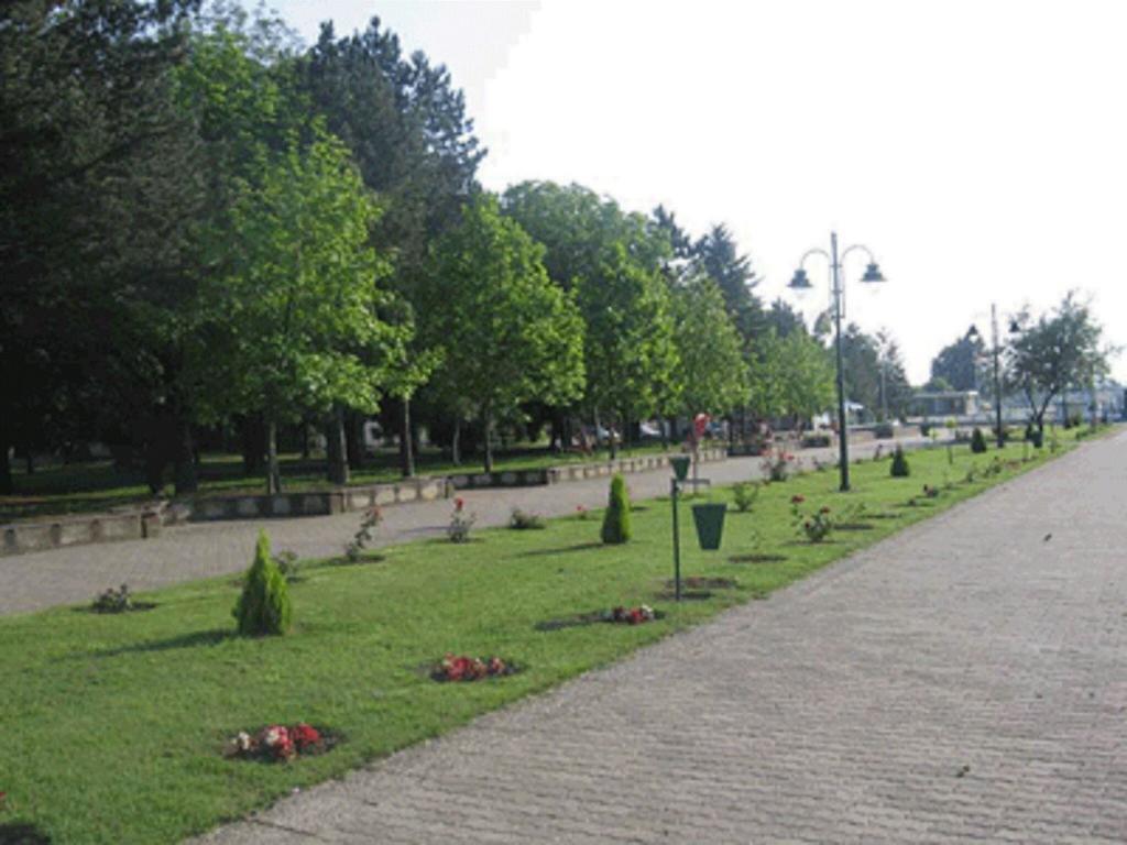 Villa I Spa Stevic Veliko Gradište Εξωτερικό φωτογραφία