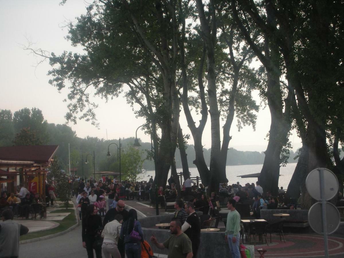 Villa I Spa Stevic Veliko Gradište Εξωτερικό φωτογραφία